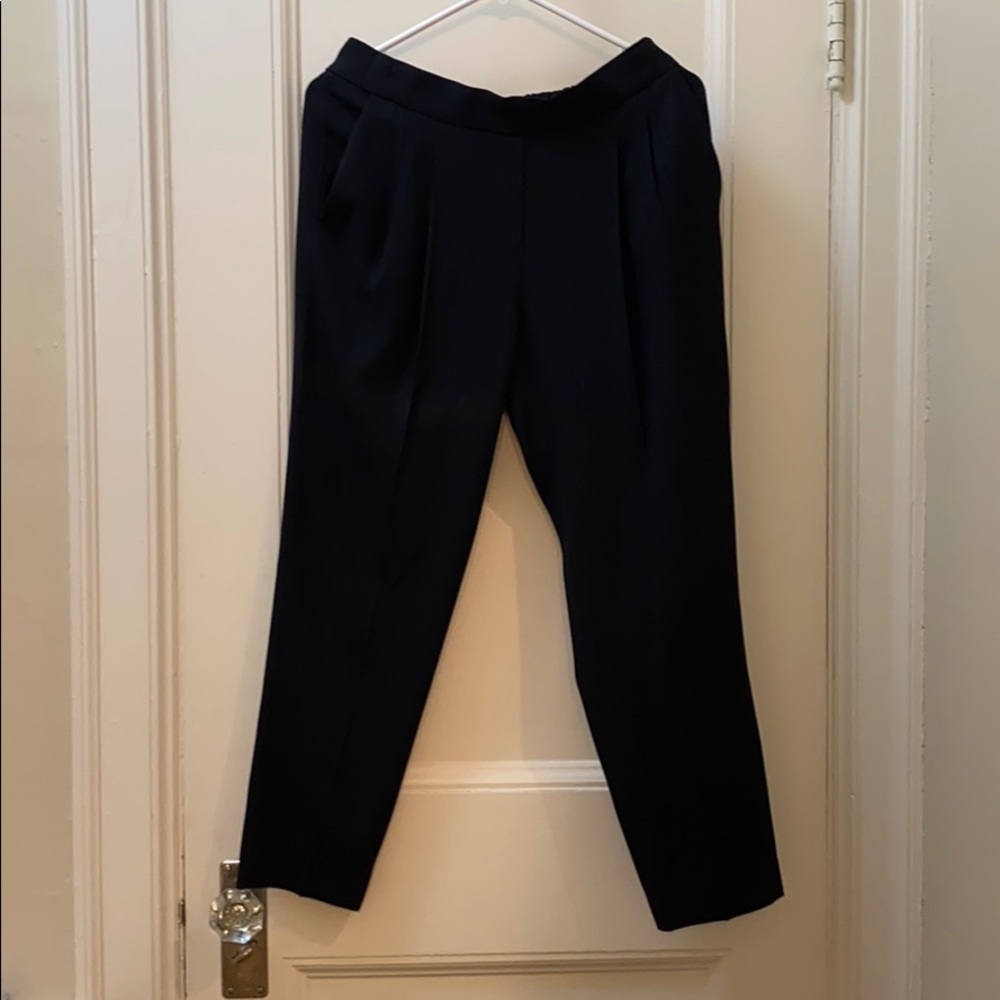 Aritzia Babaton Trouser Pant